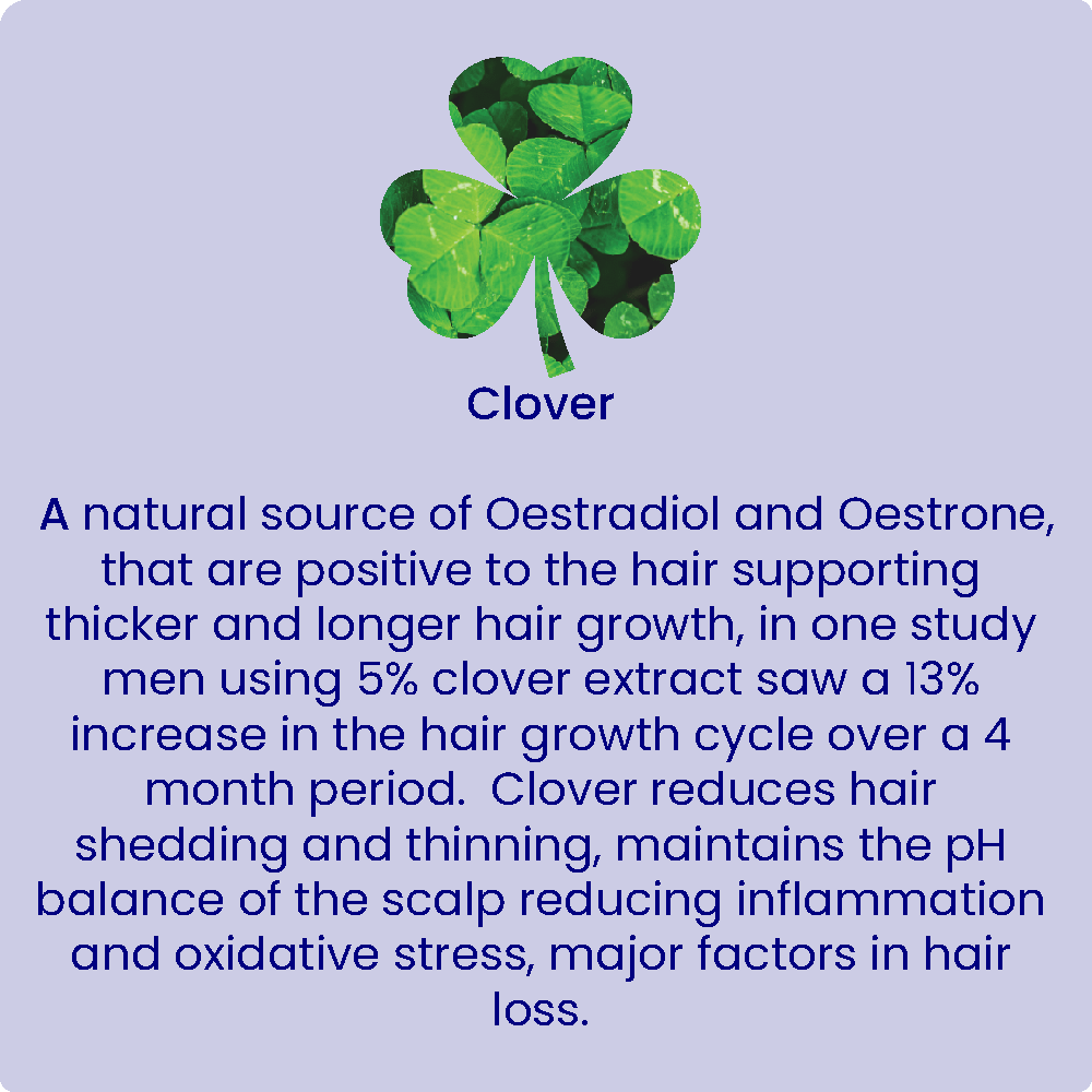 Clover-for-web