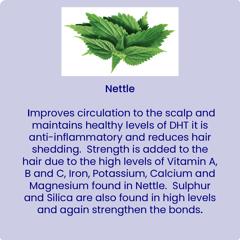Nettle-for-web