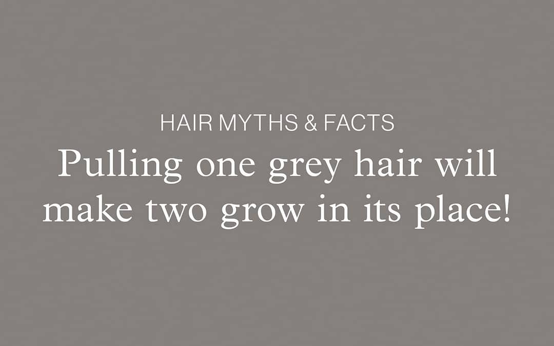 Hair Myths & Facts – Pulling one grey hair will make two grow in its place!