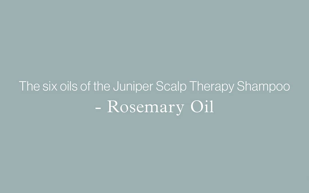The six oils of the Juniper Scalp Therapy Shampoo – ROSEMARY OIL