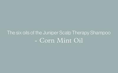 The six oils of the Juniper Scalp Therapy Shampoo – CORN MINT OIL