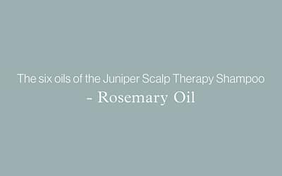 The six oils of the Juniper Scalp Therapy Shampoo – ROSEMARY OIL